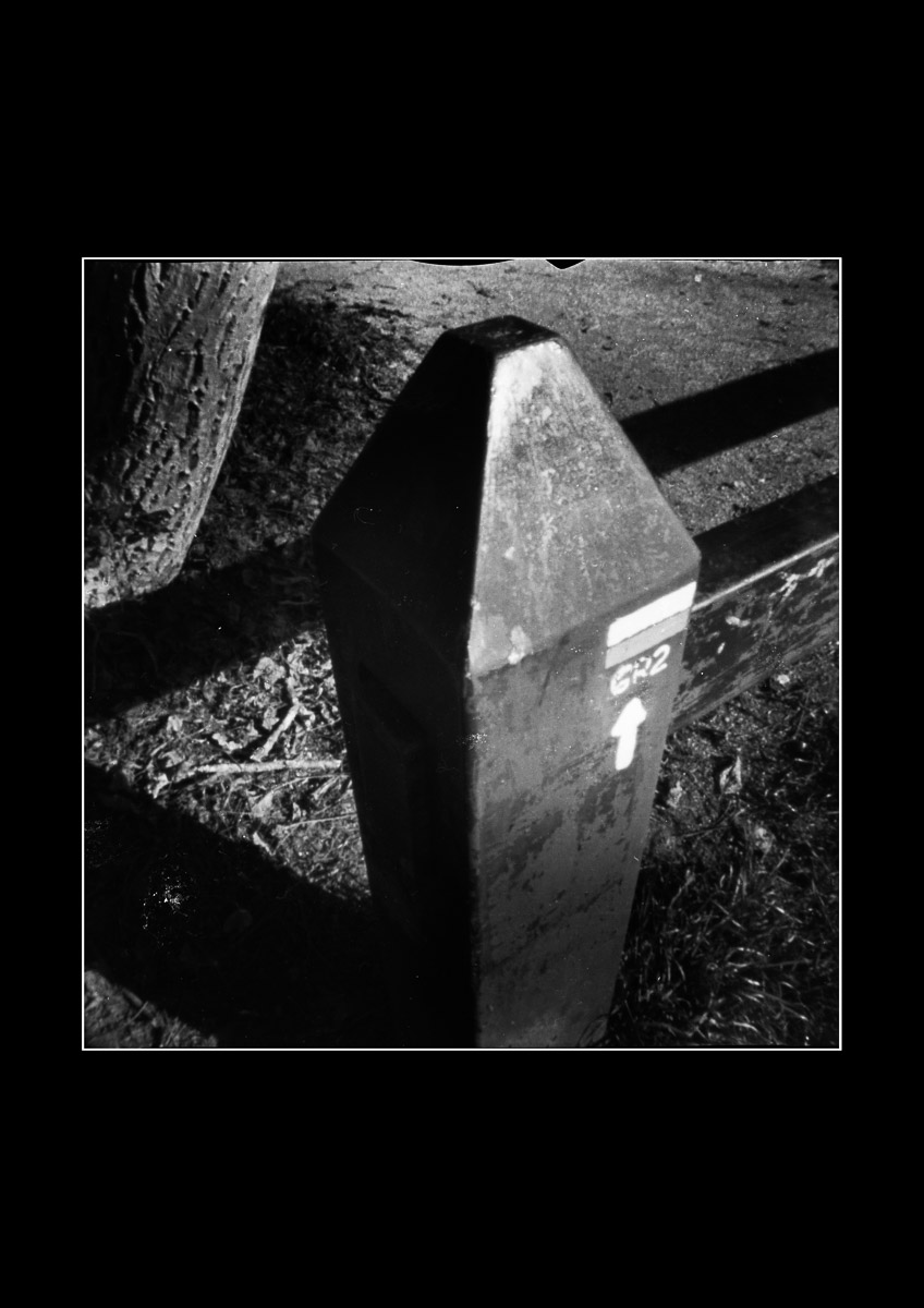 Moody black and white photo Column Photo Oleg Sotnik